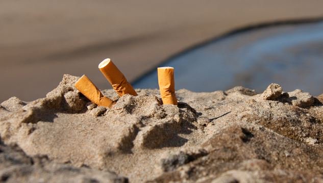 puntosigre's tweet photo. 🚬 LAS #COLILLAS, DE #RESIDUO A #AISLANTE #ACÚSTICO 🔊 
La Universidad de Extremadura avanza en la investigación para reconvertir los filtros de los #cigarrillos, uno de los residuos más abundantes del #planeta, en absorbente acústico https://t.co/9x4n0RmaGz @infouex https://t.co/3yXROzMR8I