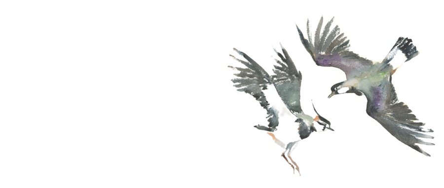 EdSolTL's tweet image. thebookseller.com/news/macfarlan…

Fantastic news!  Although, it’s a while before it’s out.  I wonder if Norfolk schools will be lucky enough to receive a free copy again?