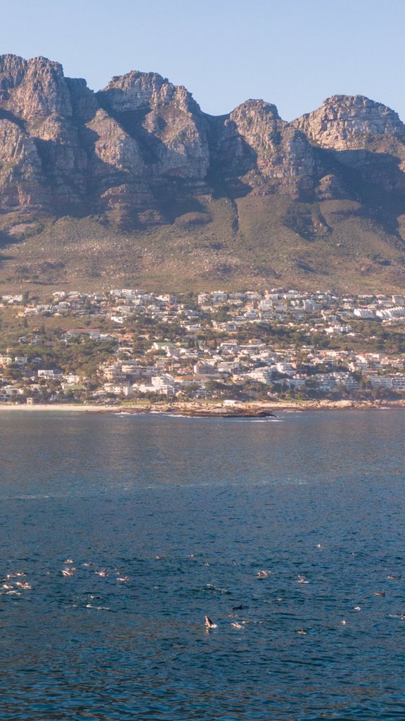 Kyle Mijlof tweet media