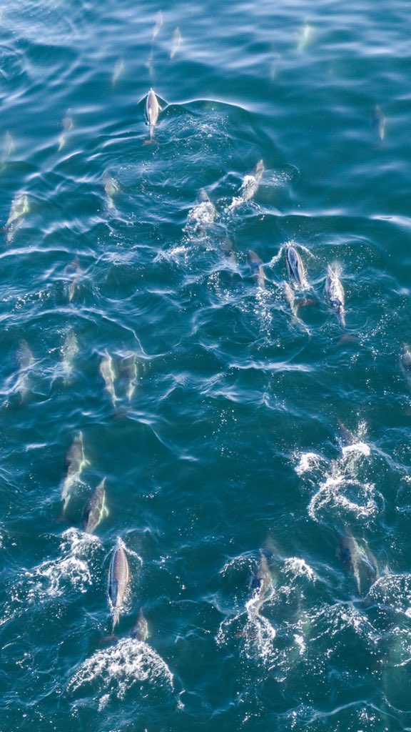 Kyle Mijlof tweet media