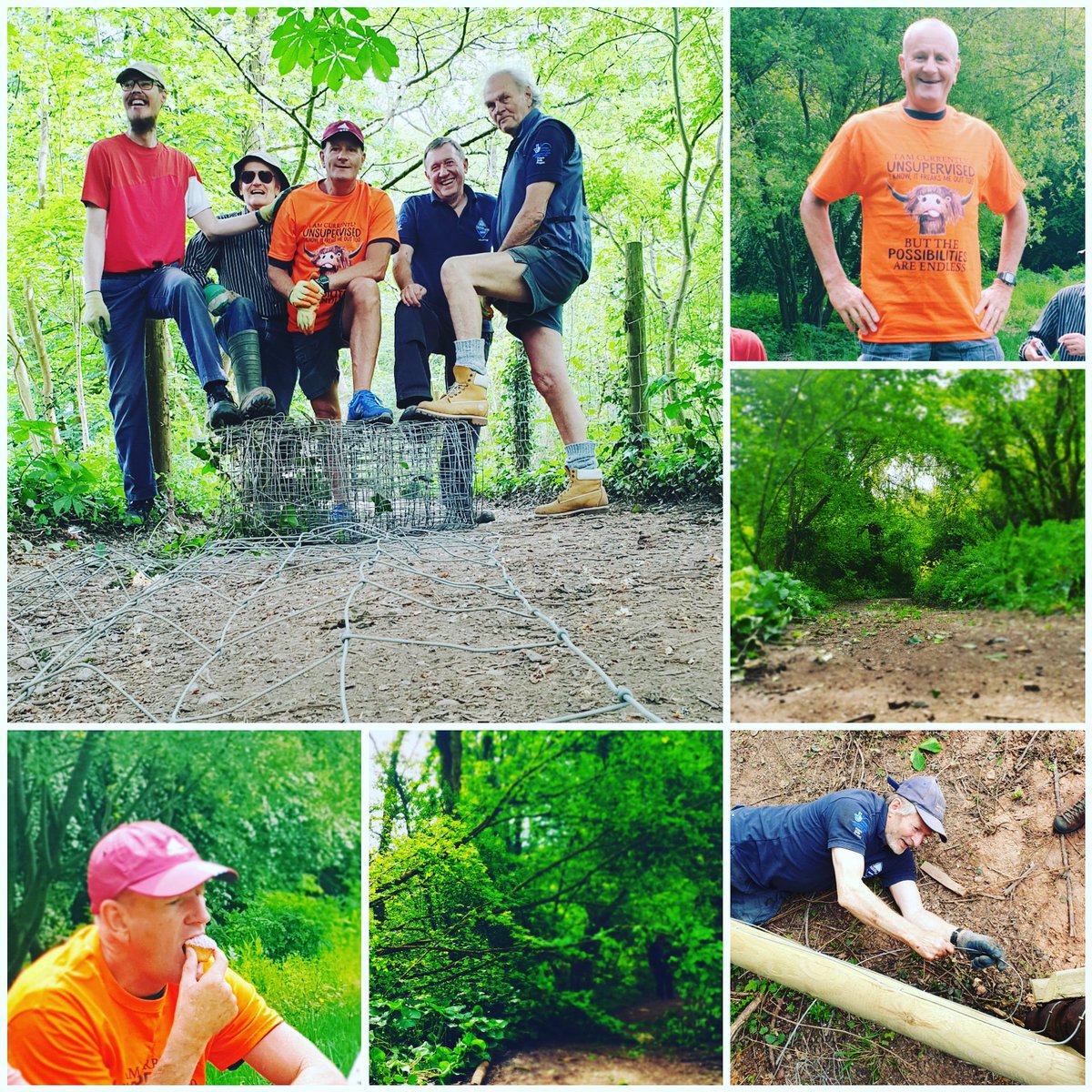 FourteenLocks's tweet image. #fencefixing #brackenbashing #tree and #Himalayanbalsam #clearing and a #birthdayboy! #volunteering with #canal and #countryside team!