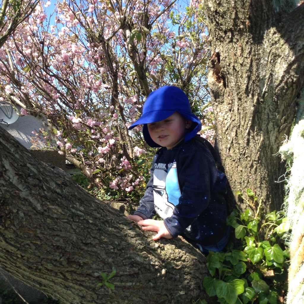 KiddiwinksELCC's tweet photo. The trees are full of blossom and leaves! Great fun in the shaded areas #blossom #riskyplay #ropeswing #fraserburghfinest #inthebackie #exploring https://t.co/1pWhzPTSSu