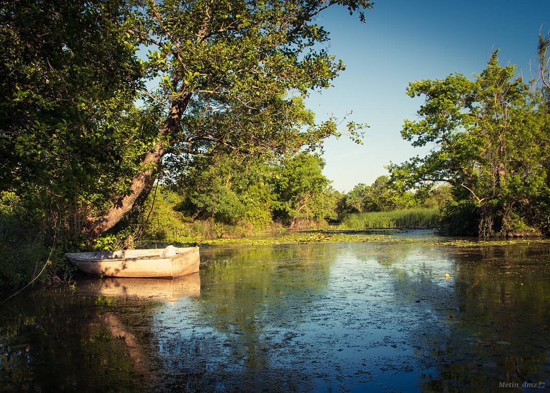 erkan inan (@nakres1633) | Twitter