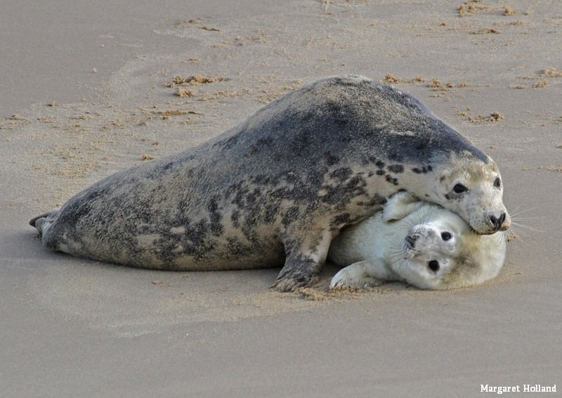 Just look at those big eyes! 😍