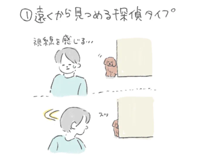 愛犬からただならぬ視線を感じること
ありませんか?飼い主を監視するいぬって
可愛いですよね… 