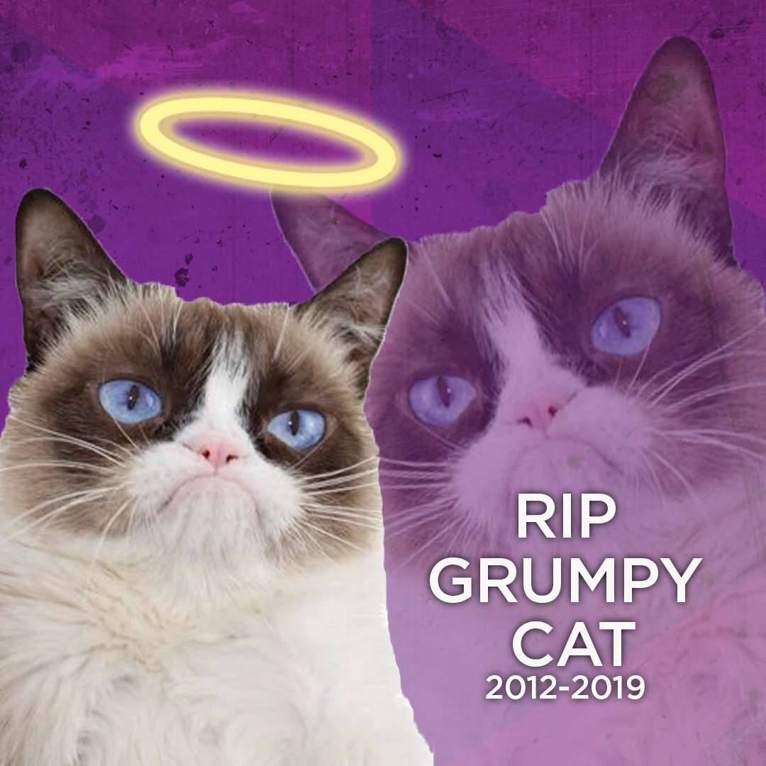 Absolute Radio On Twitter Rip To The Original Meme Queen Grumpy Cat Our Thoughts Are With Her Owners And The Internet