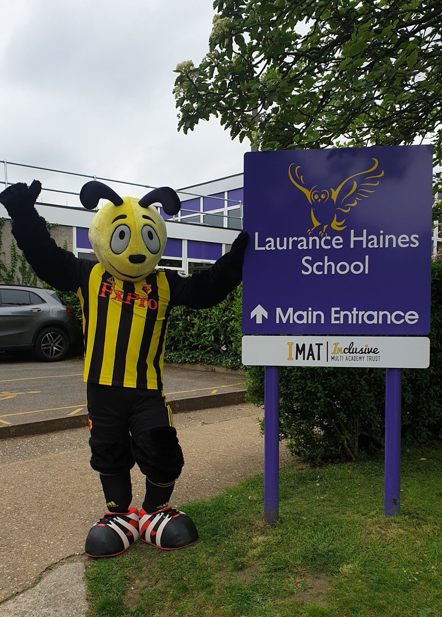 WFCTrust's tweet photo. #imagineif Harry the Hornet came to your school to help you wish @WatfordFC good luck in the @EmiratesFACup Final!

#watfordfc #FACupFinal https://t.co/9YglikP0x2