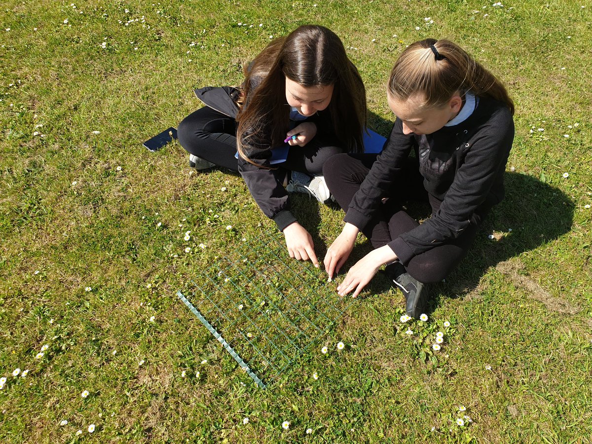 mrgwcrawford's tweet photo. Quadrat sampling with S1 @LibertonhsS @LibertonHS #outdoorlearning https://t.co/OLDQpNAxHg