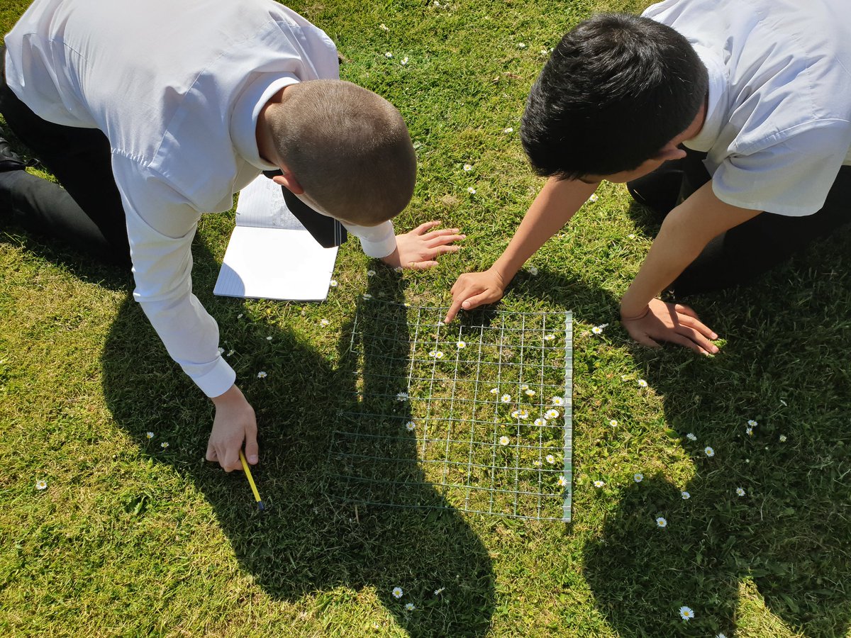 mrgwcrawford's tweet photo. Quadrat sampling with S1 @LibertonhsS @LibertonHS #outdoorlearning https://t.co/OLDQpNAxHg