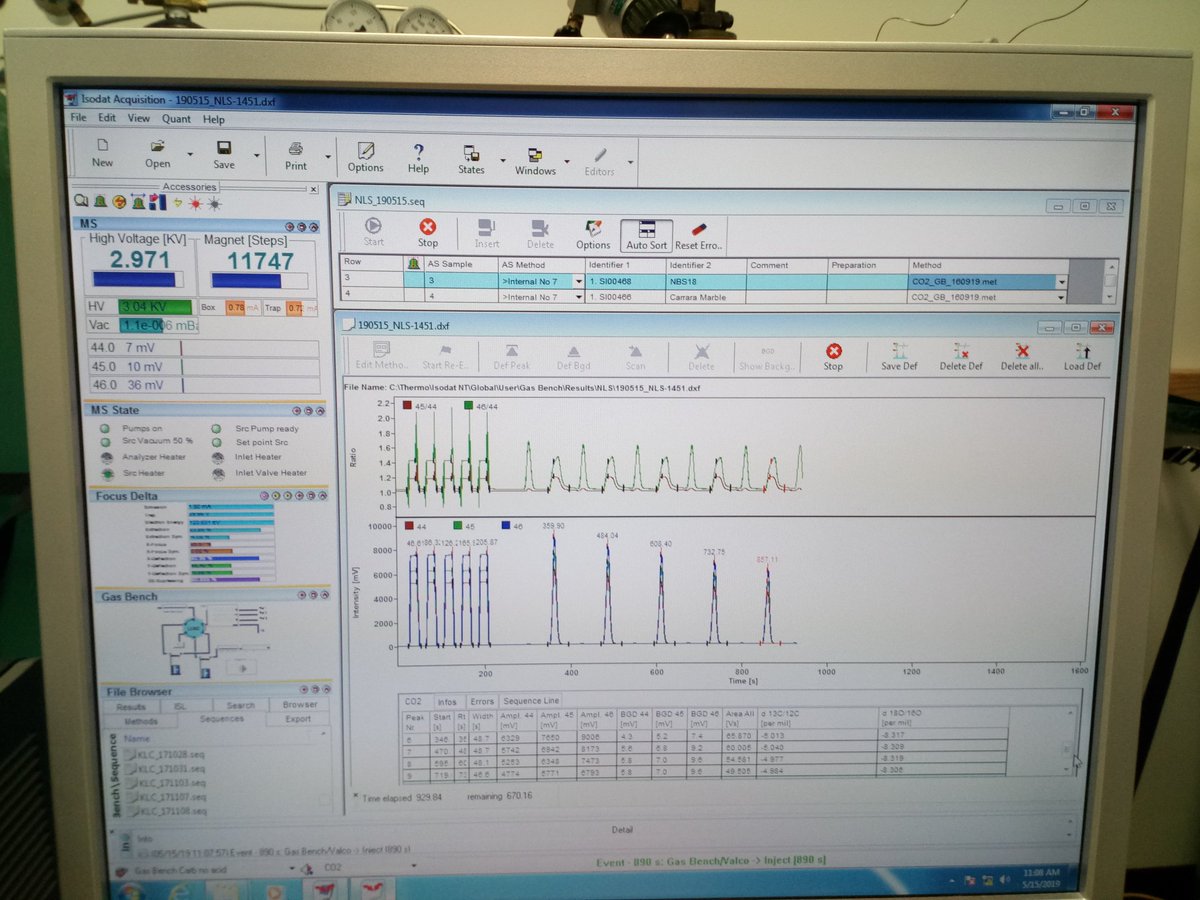 mafemapo24's tweet photo. Running isotopic analyzes to better understand ancient populations of deer in Panama! @stri_panama #MolecuLab @iphes @universitatURV https://t.co/DHWFCKOdY3