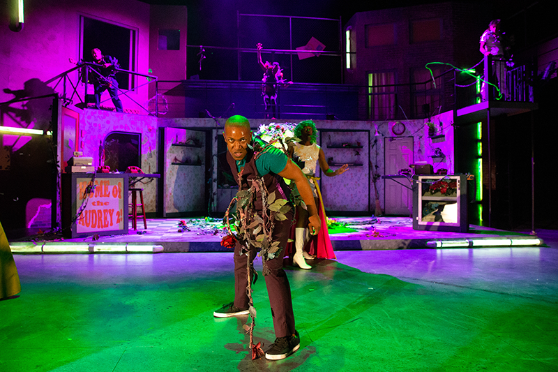 Comment below with a pic of your favorite ficus, fiendish or friendly.
Only 4 shows left!
tickets.uccspresents.org/events/216?pro…
Call Box Office 719-255-3232

#theatreworkscs #littleshopofhorrors
#seetheatrework
#coloradosprings #coloradoart #coloradoartist #colorado