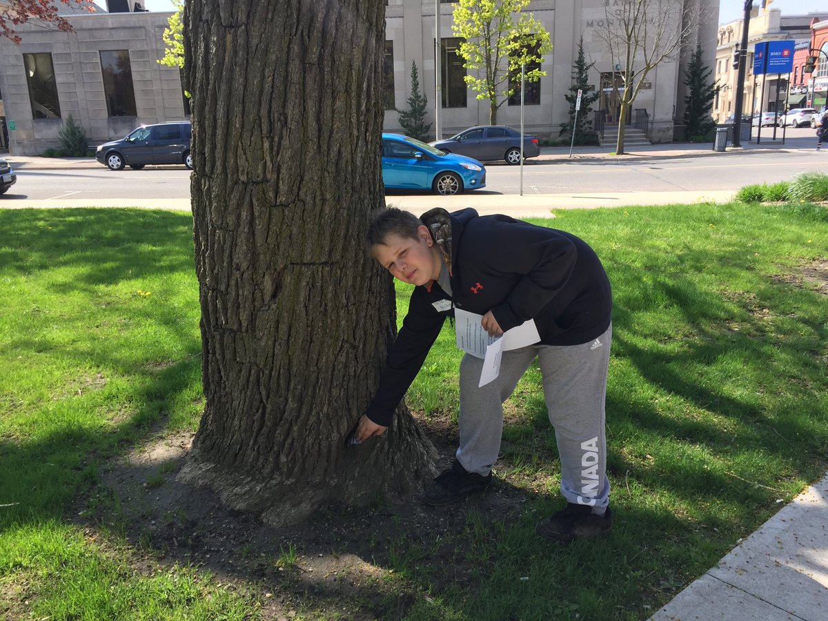 beccapauls's tweet image. .... a pack of seeds for someone to plant.  #nearanddearDT #Brantford