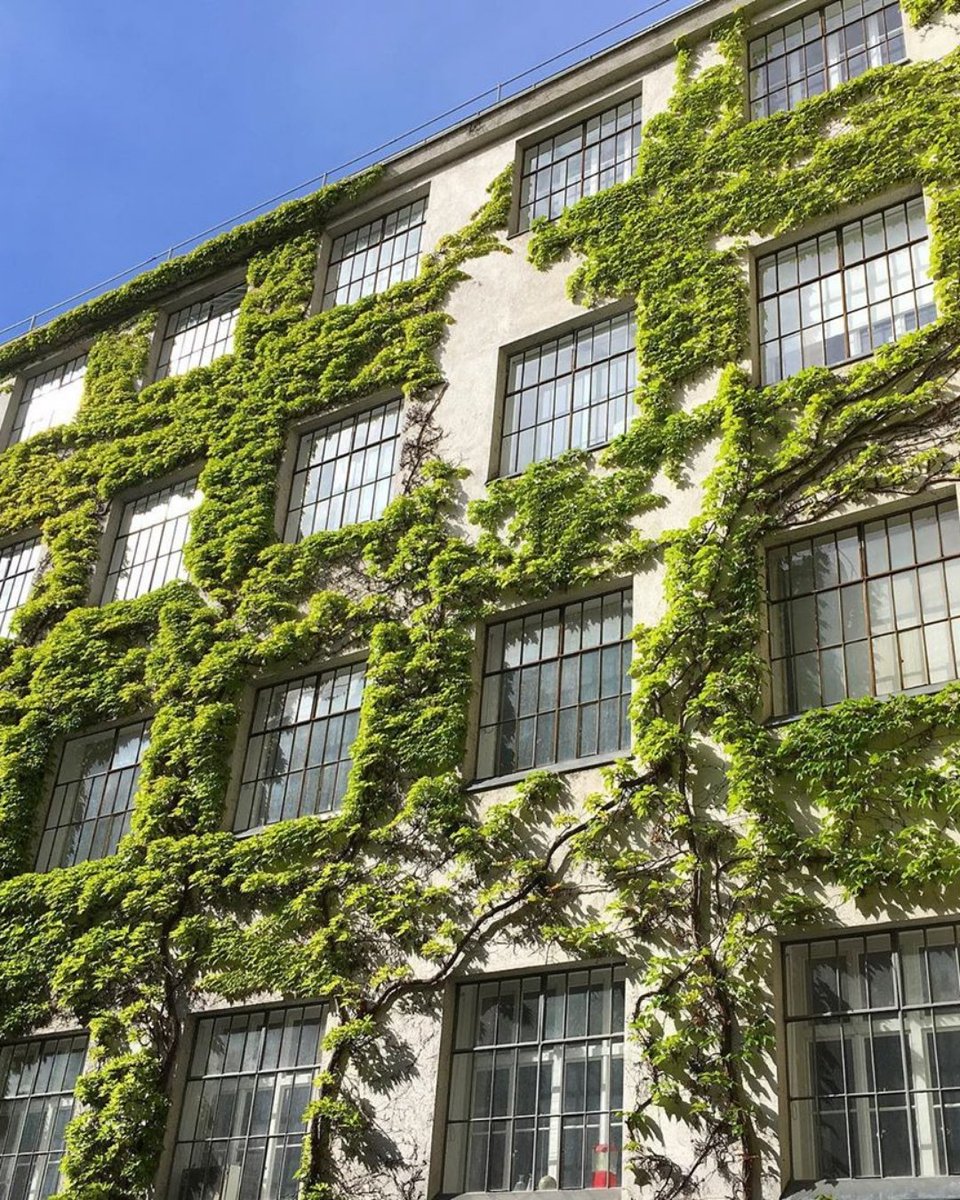 GoTouchDown's tweet image. Green living done the right way.
_
🌳|IG| gsphtotbox
_

#GoTouchDown #PictureOfTheDay #HolidaySpirit #TouchdownGroup #Explorer #Memories #Views #SeeTheWorld #NewPlaces #EuropeanTravels  #SuitcaseTravels #RoamTheWorld #TravelAddict #Vienna #GreenLiving