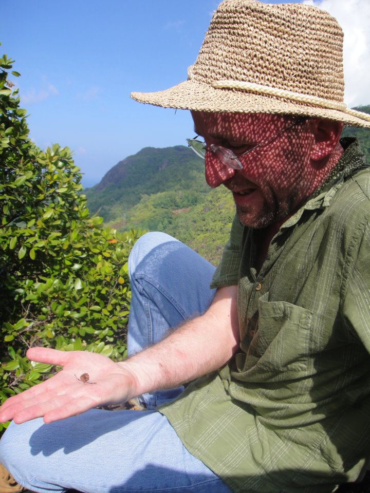 BotJLinnSoc's tweet photo. @thorogoodchris1 And here is the Chief Editor @BotJLinnSoc admiring one of the dehisced fruits of #Medusagyne (#boismeduse, #jellyfishtree) on #Mahe (#Seychelles). https://t.co/6uRmKFQWBc