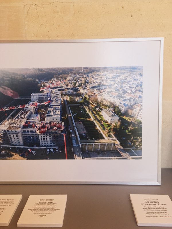 KameleonCulture's tweet photo. Un de nos kaméléon s'est glissé à l'espace Richaud cette semaine ! 
Découvrez "Versailles ville
nature, permanence et création" pendant la @BapIdf 
#Bap2019 #BapIdf #Versailles #espacerichaud #UCP #kameleonculture https://t.co/NvsvLRV1nr