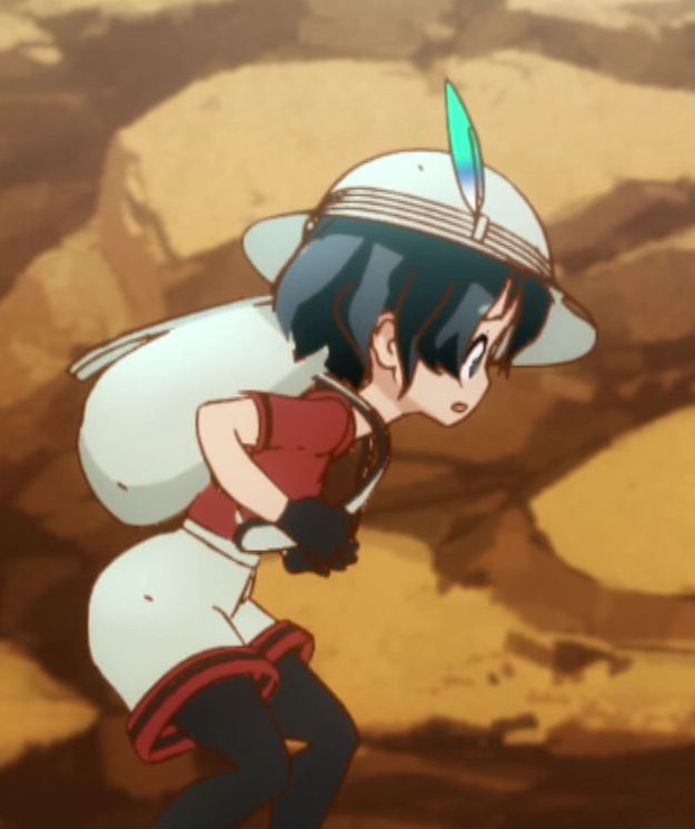 けものフレンズ かばんちゃんが川を飛び越えようとして落ちるシーンで 1秒未満の間に表情が細かく変わってる けもちゃん