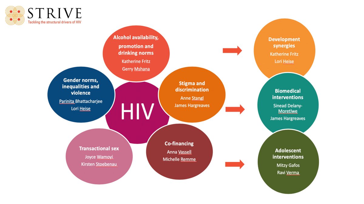 hivdrivers's tweet image. How did STRIVE organise ourselves in working groups to tackle #hivdrivers ? Read + share our summary of 8 years&apos; work, with hyperlinks to resources in deeper detail: strive.lshtm.ac.uk/resources/addr…