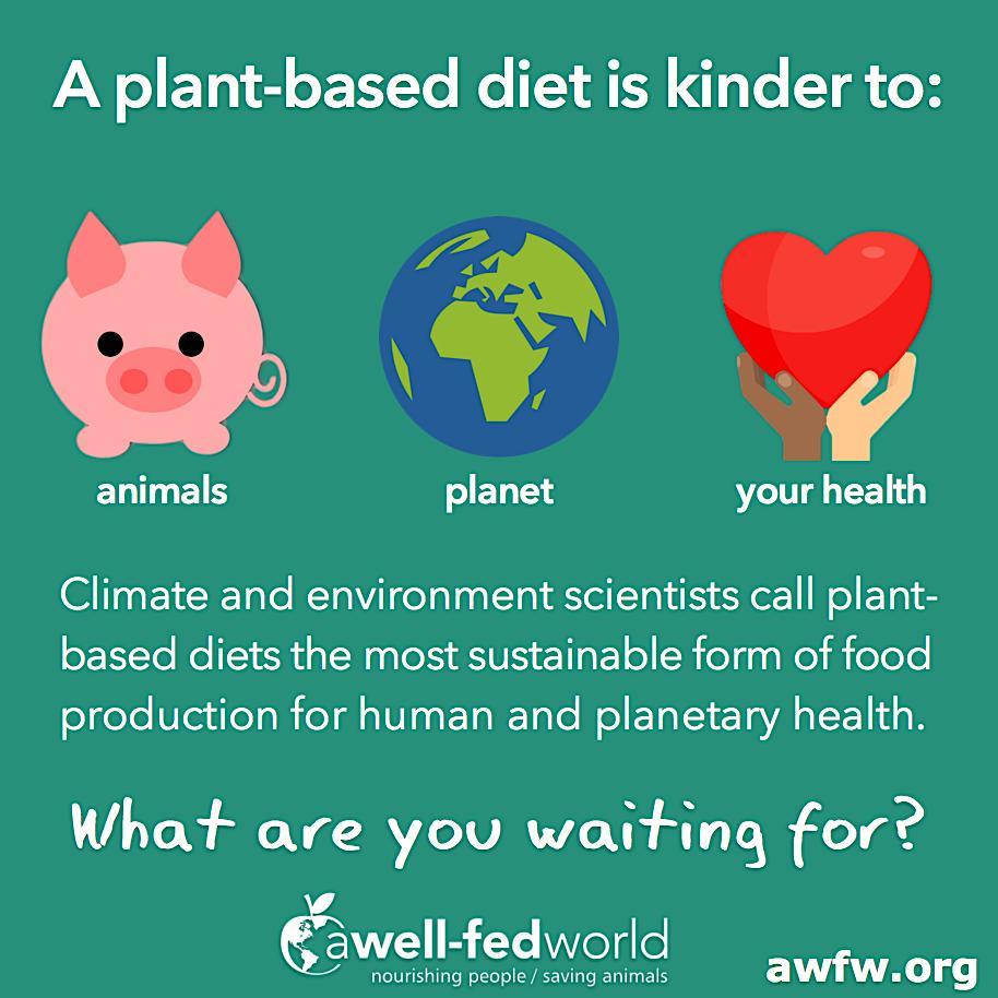 AWellFedWorld's tweet image. The foods that cause the fewest #animals to suffer are also the best foods for reducing #climatechange, species #extinction, &amp;amp; diet-related disease. #PlantBased diets are a win-win-win: bit.ly/eat-plants

What are you waiting for? #ClimateEmergency #ExtinctionRebellion