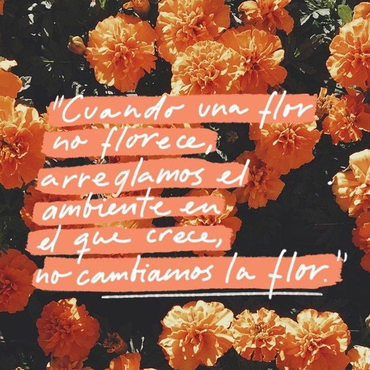 "Cuando una flor no florece, arreglamos el ambiente en el que crece, no cambiamos la flor"
🌹🌻