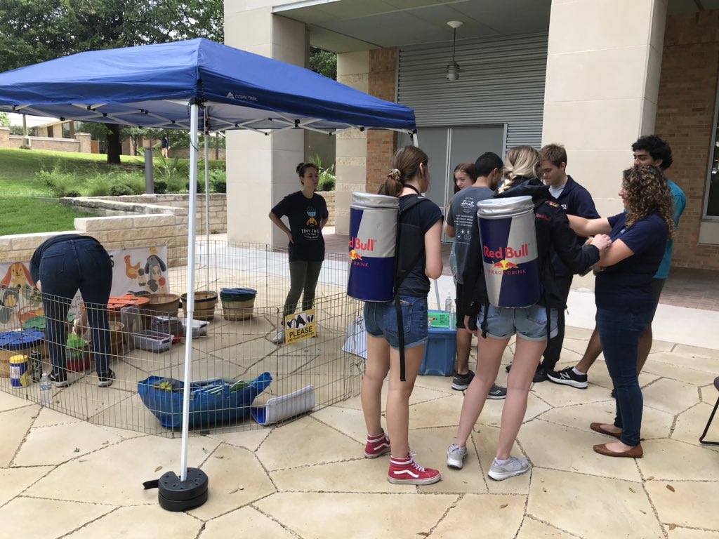 UTAerospace's tweet image. Take a study break and cuddle some tiny animals on the ASE Plaza! They will be here from 11:00 - 12:30pm. 🦔 🐇🐢

#aerospaceengineering #computationalengineering #engineeringmechanics #texasengineers #whatstartsherechangestheworld #hookem #finalsweek #studybreak #pettingzoo