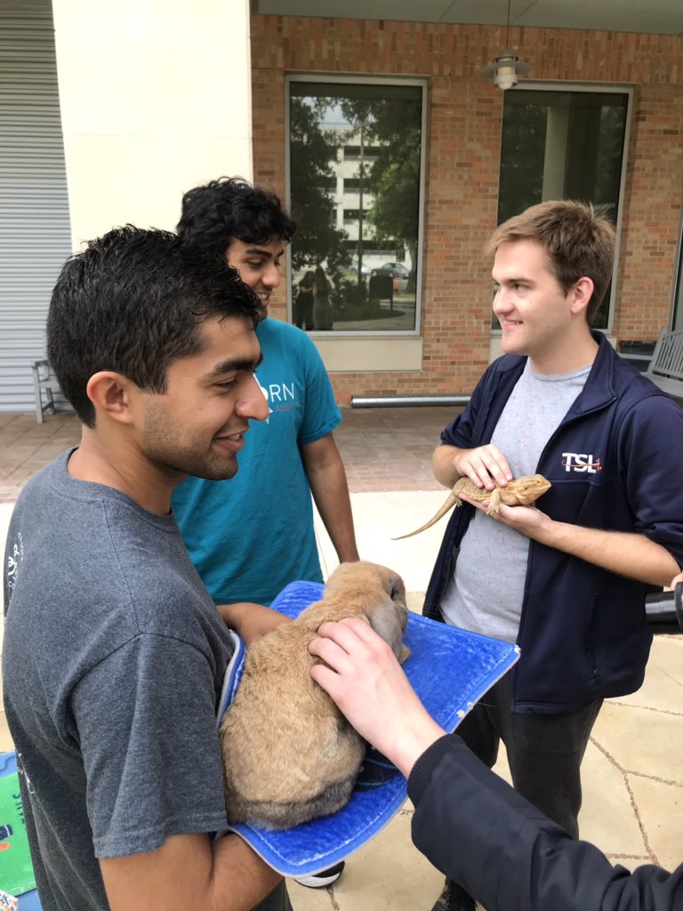 UTAerospace's tweet image. Take a study break and cuddle some tiny animals on the ASE Plaza! They will be here from 11:00 - 12:30pm. 🦔 🐇🐢

#aerospaceengineering #computationalengineering #engineeringmechanics #texasengineers #whatstartsherechangestheworld #hookem #finalsweek #studybreak #pettingzoo