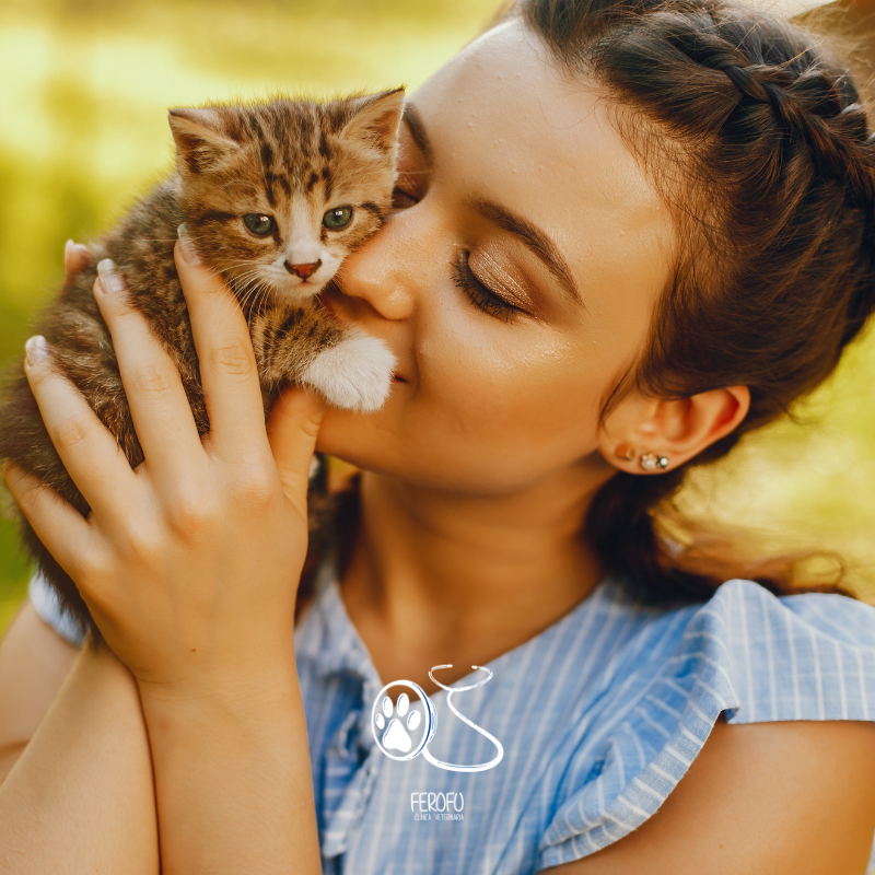 cvferofu's tweet photo. Tenemos todos los cuidados necesarios para tu gato recién nacidos 🐱
No dejamos nada al azar, ellos se merecen todo el cariño y la mejor salud 😊
https://t.co/knUVfSuOYL

#perro #cachorro #hijo #cachorro #perrito #mascota #monada #precioso #veterinaria #brunete #vacuna https://t.co/9H2EKtF14k