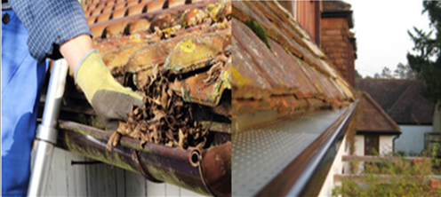 guttercareuk's tweet photo. Do Your Gutters Look Like This? 🍂🍁

At Guttercare UK we can install a leaf guard system which prevents #leaves and #debris blocking your #gutters, causing water to overflow and seep into your #roof and foundation.

Call us today to book your #free #quotation - 
02392 230055 https://t.co/x5mbMa2kXI