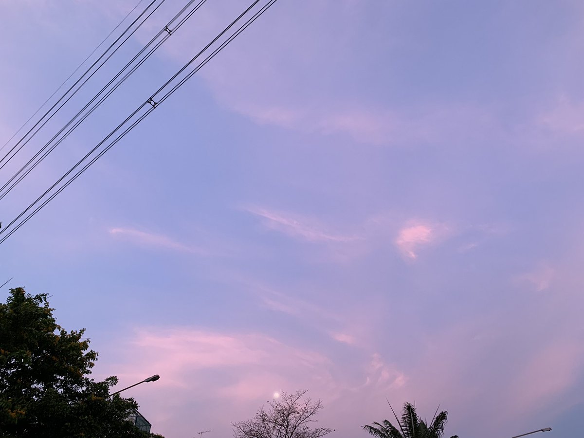พอร์ช tweet media
