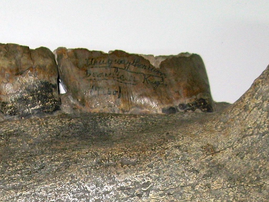 dcpaleo's tweet photo. #FossilFriday Holotype lower jaw of the #astrapothere  🇺🇾Uruguaytherium - probably ~25 million years old (#Oligocene) but provenance uncertain. This specimen will never be misidentified; its name is written on its hefty last molar! #teeth #SANUngulate https://t.co/Lo1HWprDLx https://t.co/39frBZZkRz