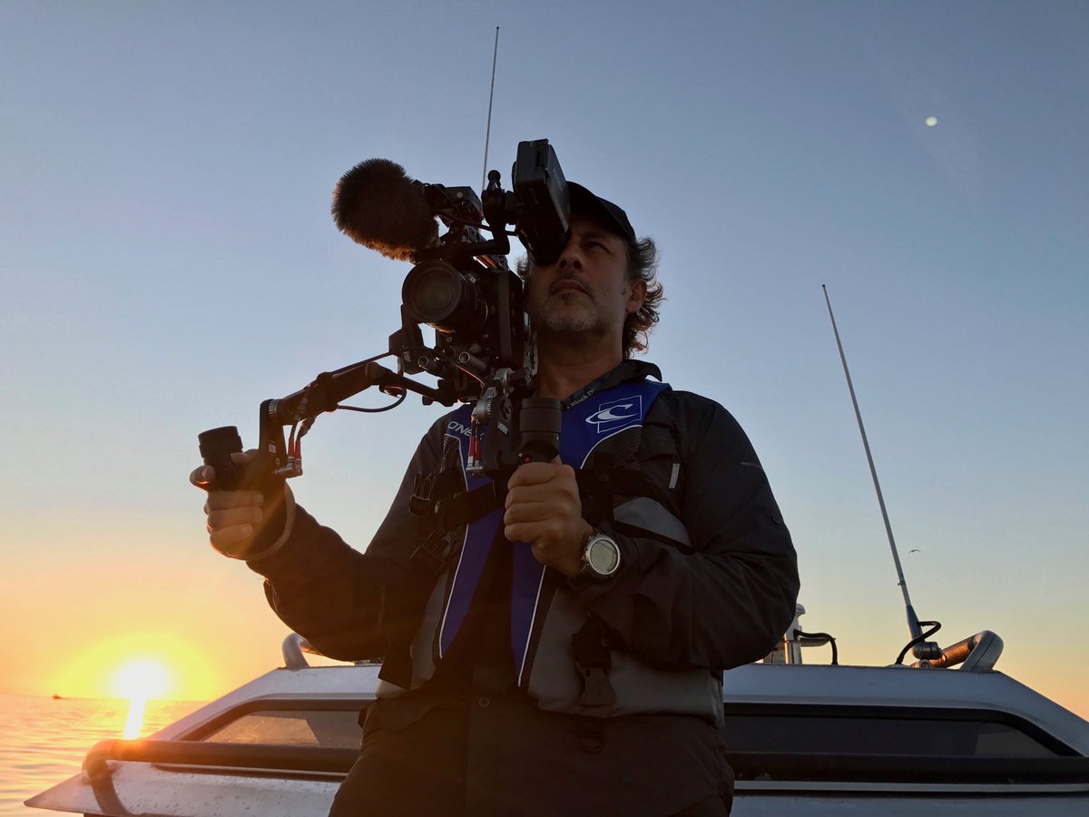 ARRIChannel's tweet photo. At @sundancefest “@seaofshadowsSOS” by @RichardLadkani won the Audience Award. Now the documentary thriller is celebrated during at the @dokfest. “Sea of Shadows” was shot with #ARRI #AMIRA &amp; Master Grips. Read our story: https://t.co/YEC5kMAasb #dokfest2019 #dokfest https://t.co/qapxUh5Nft