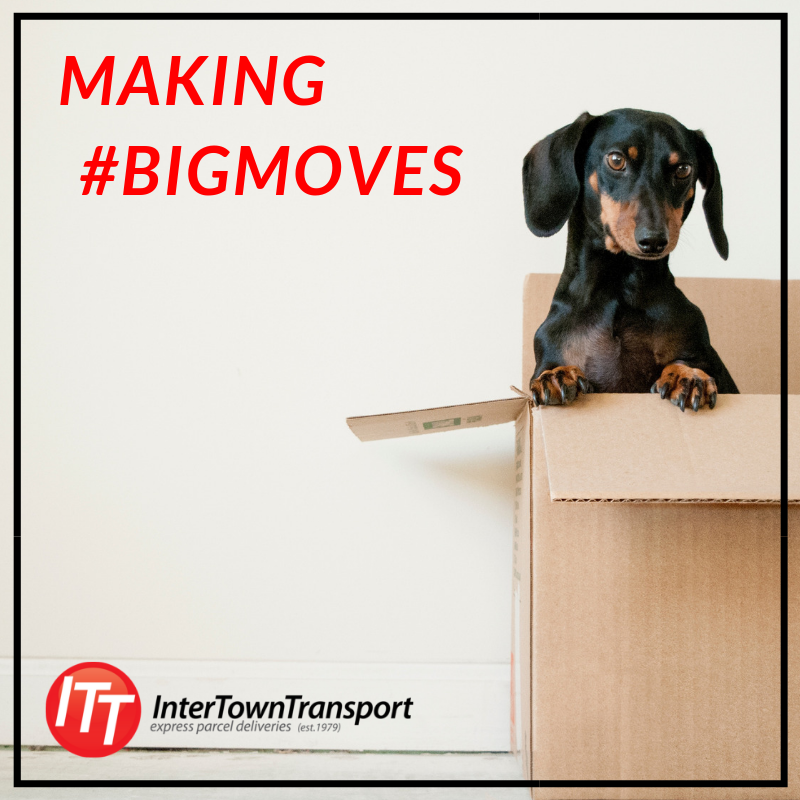 ITT_SouthAfrica's tweet photo. Opening a new branch or premises?
Be sure not to make these mistakes: https://t.co/nqYggEpg6a
Make #ITT part of your #BigMoves.
Click here for a free quote: https://t.co/yDEPNceGMm
Or check out our app here: https://t.co/VgJMkS370t
#LargeEnoughToHandle #SmallEnoughToCare https://t.co/bPwCdhqHGS