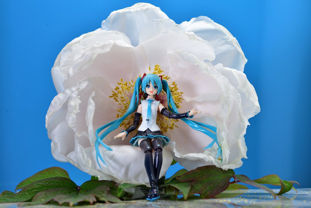 fusayan (@2384True2) / X