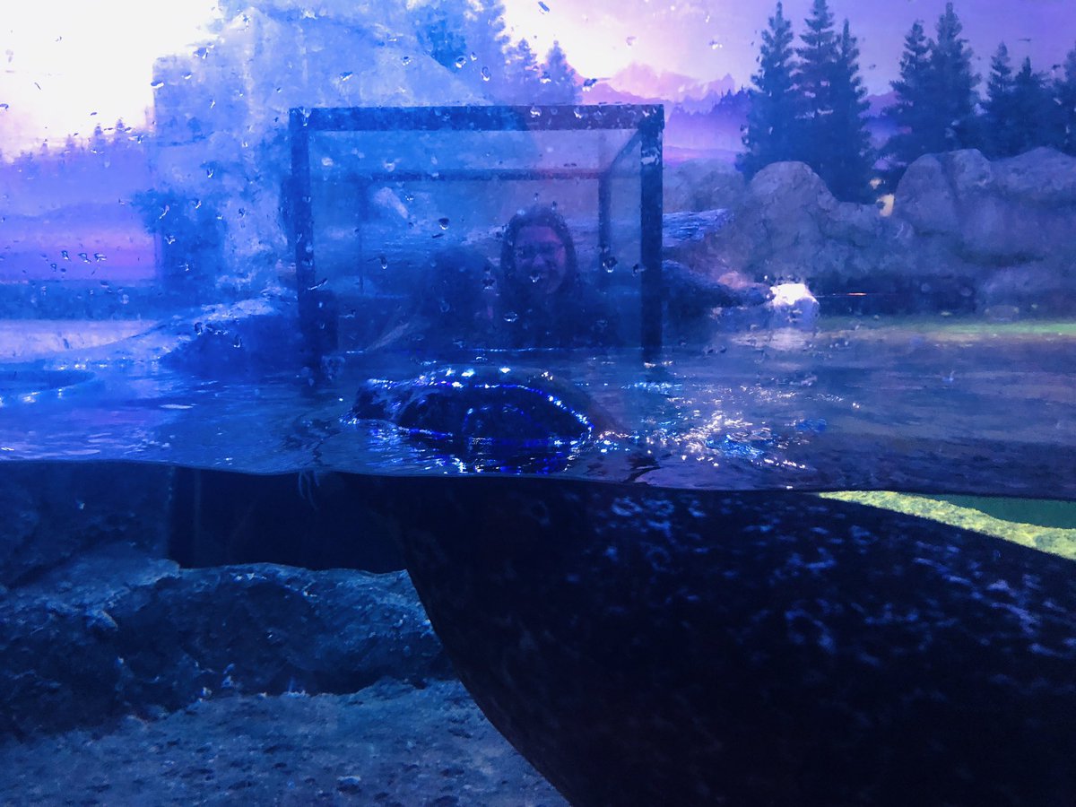 Etonecreate's tweet photo. A few more pictures from Year 10 Arts day at the @sealifebham @EtoneCollege 🐙🐡🐋🦑🐠🦈🦐🐟🐊🦞🐬🐅🦀🐳 https://t.co/wN0AyhVVTU