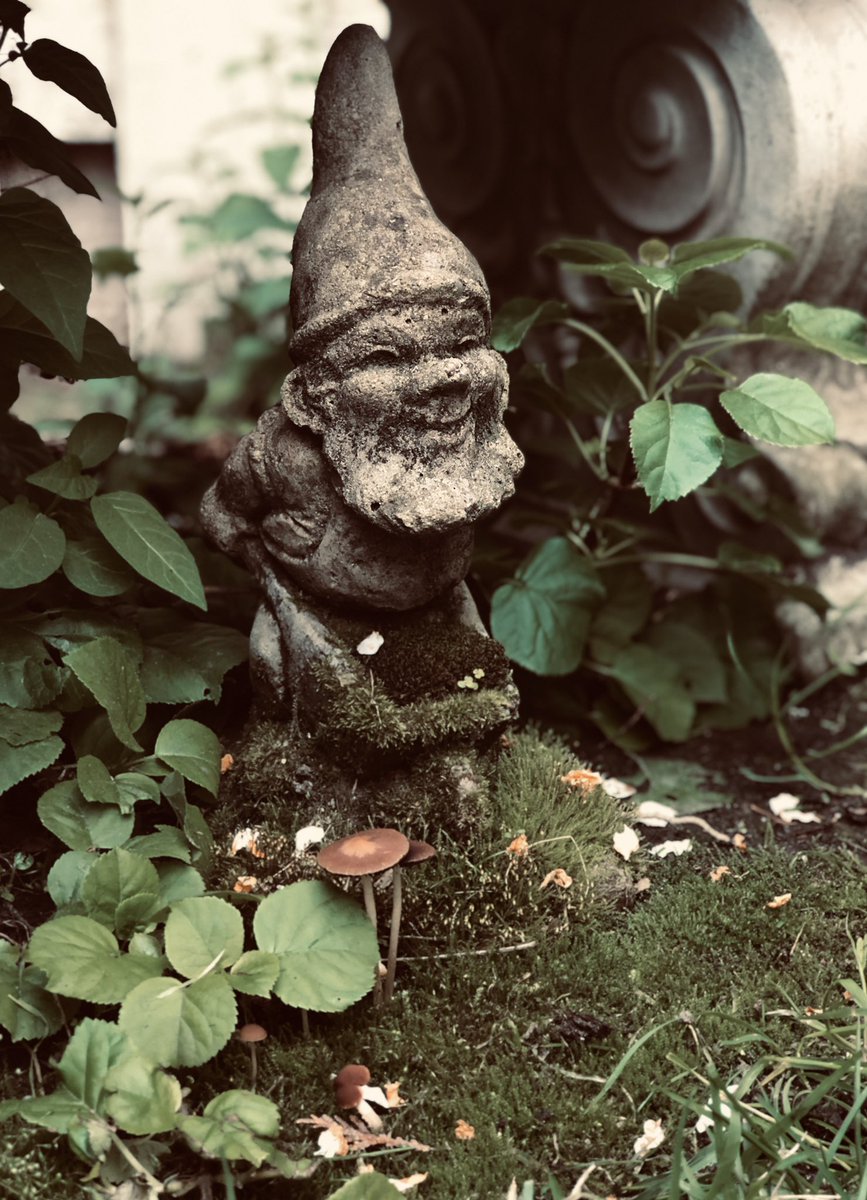 Pat Jones On Twitter Lil Wayne My Secret Garden Guardian Gnome