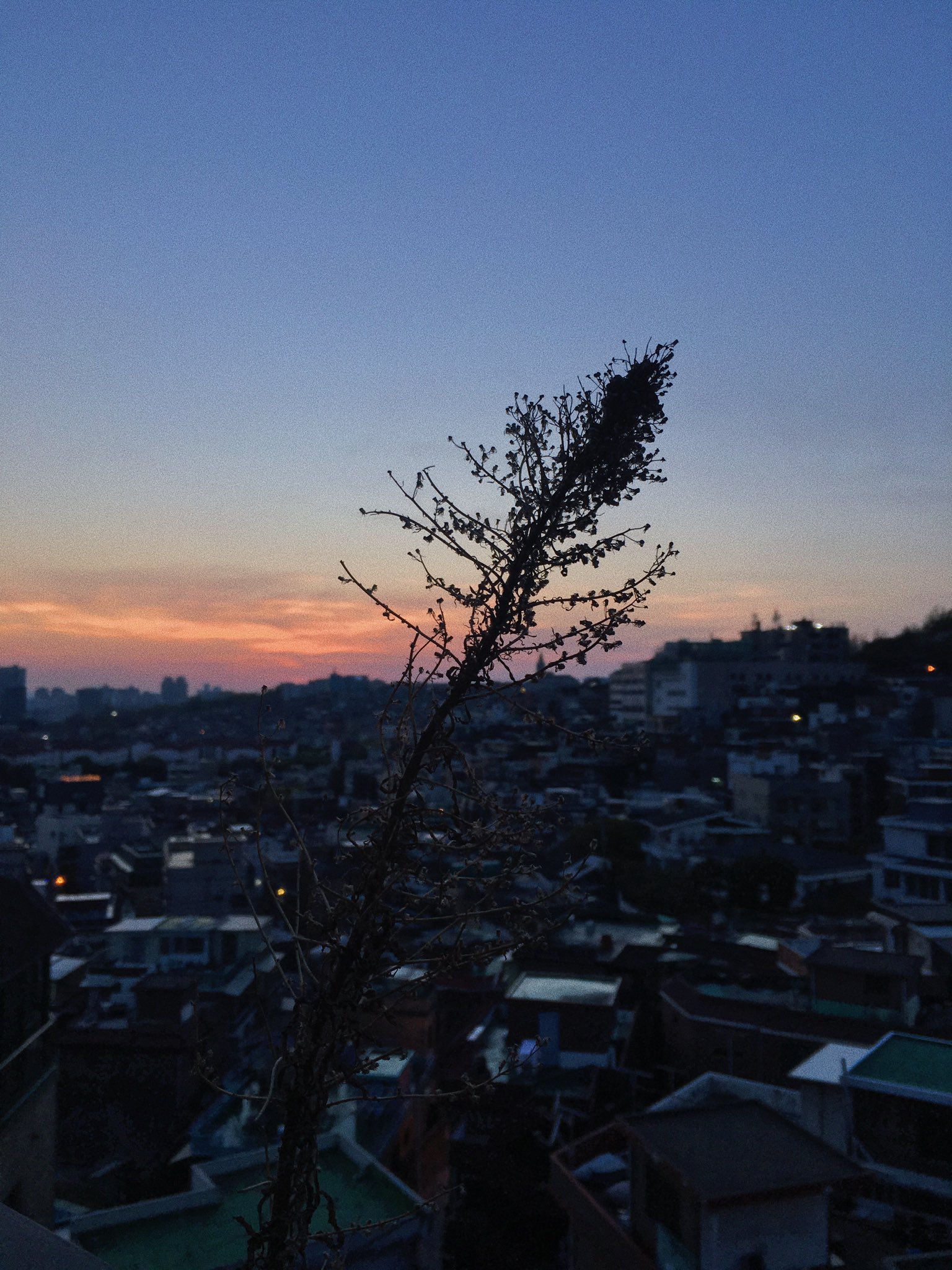 D6xN3VHV4AAhGjY.jpg:large