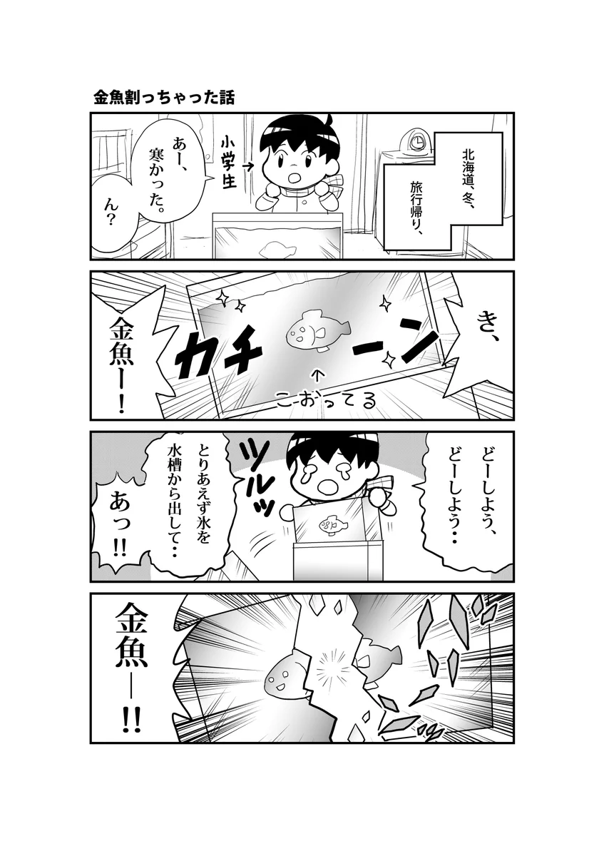 実話！！金魚を真っ二つにしてしまったけれど生き返った話！！