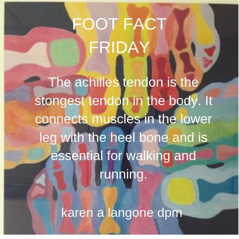 #FootFactFriday