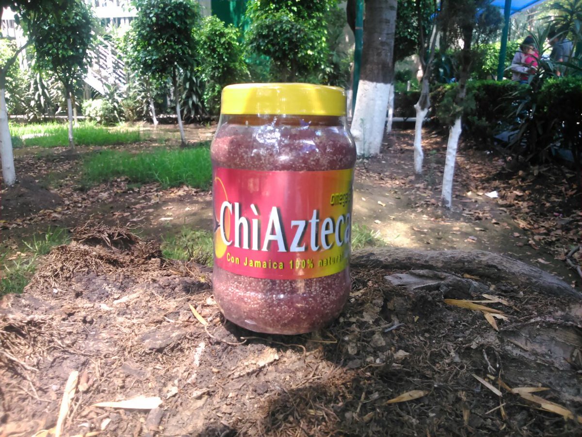 SaludChiAzteca's tweet photo. @AristeguiOnline #DespiertaConLoret La mejor forma d proteger nuestra @SSalud_mx d la #ContaminacionAmbiental es consumiendo expectorantes en nuestra alimentación. Nuestra fórmula #ChiAzteca contiene #Expectorantes #Antioxidantes #Vitaminas #Proteinas y #Minerales d primer nivel. https://t.co/N0BDl5mR3B