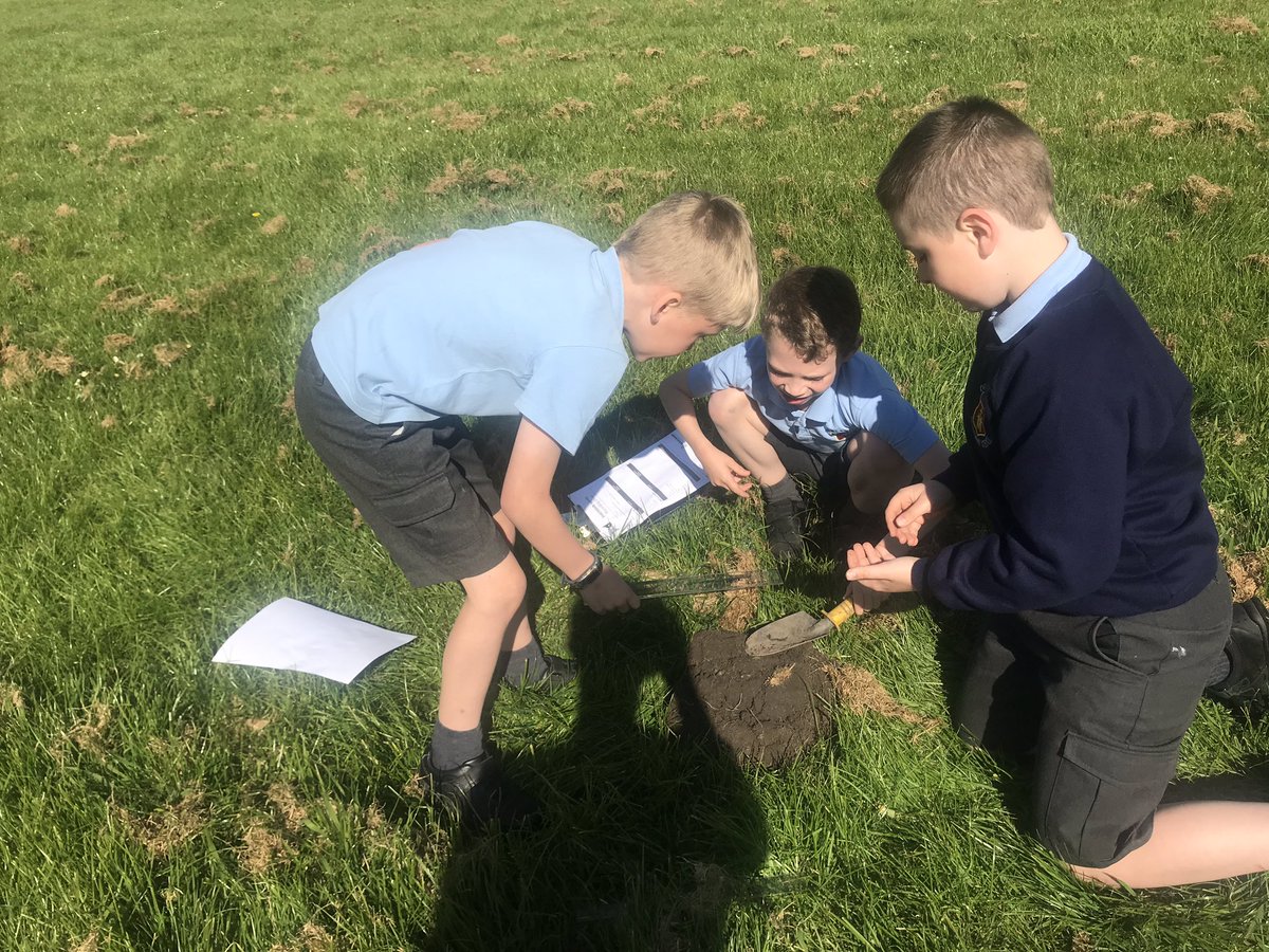 HiggensMrs's tweet photo. Year 3 taking part in a soil survey to see what is living under our field 🕷🌿 https://t.co/f2U6Em5F9j