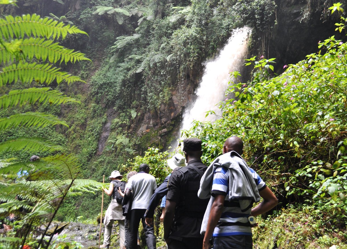 RwandaMFA's tweet photo. 4th #DiplomaticExcursion: After a fun walk in @NyungwePark along a trail, members of the Diplomatic Corps discover the magnificent #Kamiranzovu waterfalls. https://t.co/cA2jf8ezLK