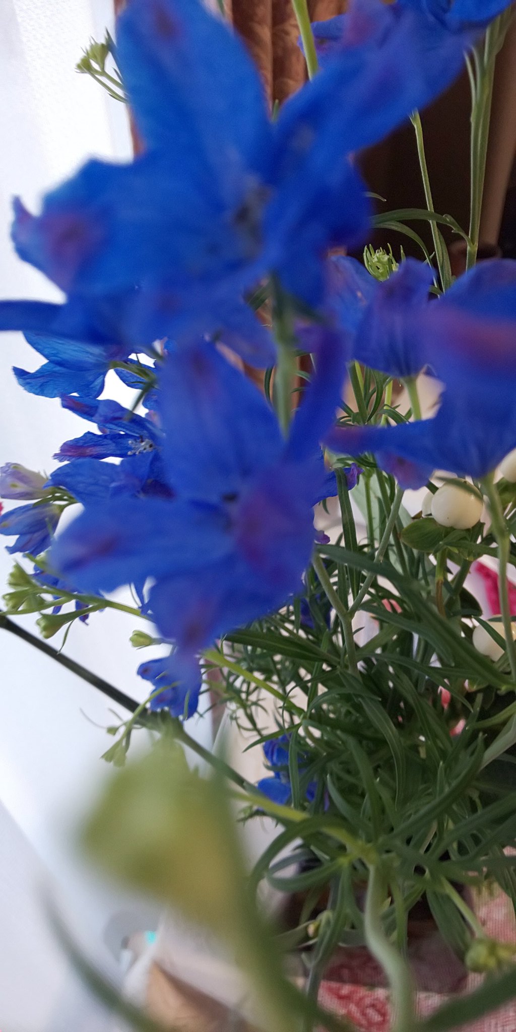 浜子 デルフィニウムの花 爽やかな青い花と素敵な花言葉を持つ キンポウゲ科の属の一つ 和名 大飛燕草 オオヒエンソウ 開花時期 5月から6月 花言葉 晴明 色は青 紫 白 のように透き通った爽やかな色が多い デルフィニウムも種類が多いが