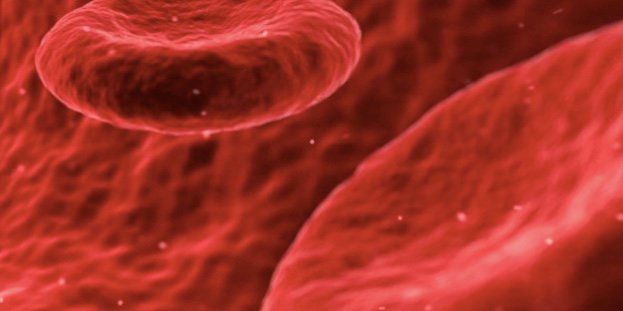 IBM Research tweet media