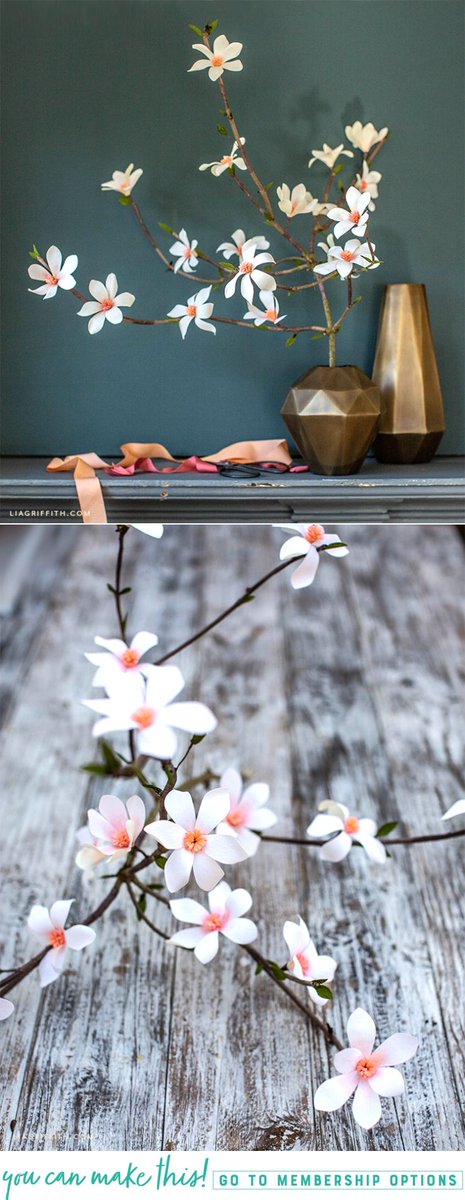 DIY Crepe Paper Tulip Magnolia #crepepaper #paperflowers #crepepaperrevival #crepepaperflowers #svg #pattern liagriffith.com/crepe-paper-tu…