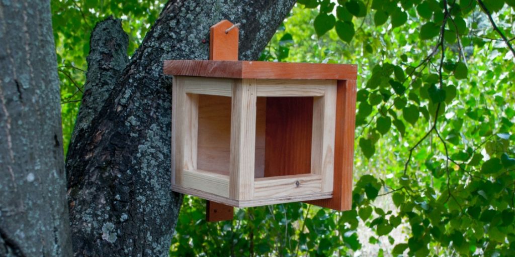 komforta_de's tweet photo. Folde mir/follow me
jetzt kaufen https://t.co/K4hWAhZQGS
Die Vogelfutterhäuschen Komforta können zu einem perfekten Erholungsplatz für die Vögel werden. 
#Holzmöbel #Komforta #Design #Gartenmöbel #online #Holz #Naturprodukt #Gartenmöbelkaufen #kaufen https://t.co/B2zUni6oWI