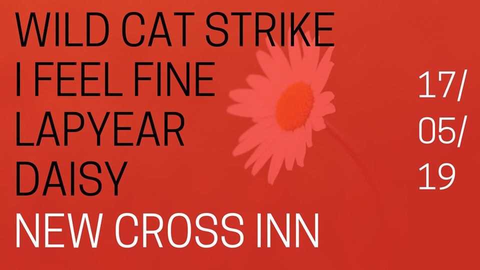 Tonight, <a href="/theheardmgmt/">the heard</a> presents:

<a href="/Wild_Cat_Strike/">WCS</a> w/ <a href="/ifeelfineband/">I Feel Fine</a>, <a href="/lapyear/">lapyear.</a> + <a href="/bandcalleddaisy/">daisy</a>

17/05/19
Doors: 7pm
Tickets: £5

Info: facebook.com/events/2471011…
Ticket link: newcrossinn.com/tickets/events…

*Advance tickets go off sale at 5pm today. Tickets available on the door*