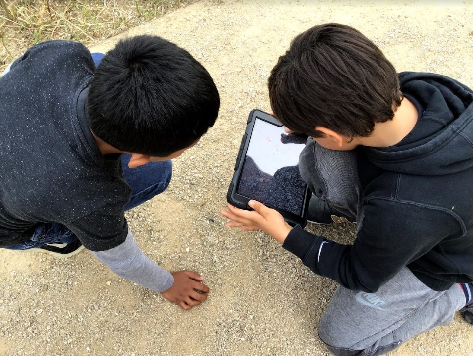 ASBEnglish's tweet photo. A3 Explored the campus this week in search for spring symbols. They took photos of trees, flowers, green grass, snails, bees, bugs, ladybugs and chased butterflies for the perfect snapshot. They will make an electronic book, writing and talking about the first signs of spring🌸🌳 https://t.co/p6zI7wWBO5