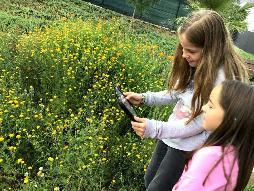 ASBEnglish's tweet photo. A3 Explored the campus this week in search for spring symbols. They took photos of trees, flowers, green grass, snails, bees, bugs, ladybugs and chased butterflies for the perfect snapshot. They will make an electronic book, writing and talking about the first signs of spring🌸🌳 https://t.co/p6zI7wWBO5