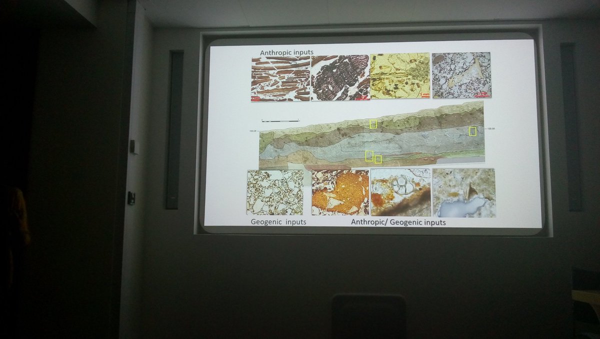 Natalia Égüez tweet media