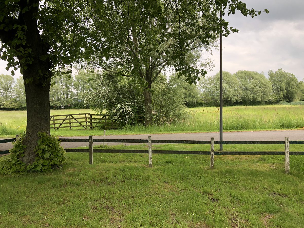 Prachtig groen in onze gemeente! Moeder en kinderen zeearend door de verrekijker mogen bekijken. Dank voor de rondgang <a href="/GR_Landschap/">Het Groninger Landschap</a> <a href="/marcoglastra/">marco glastra</a>