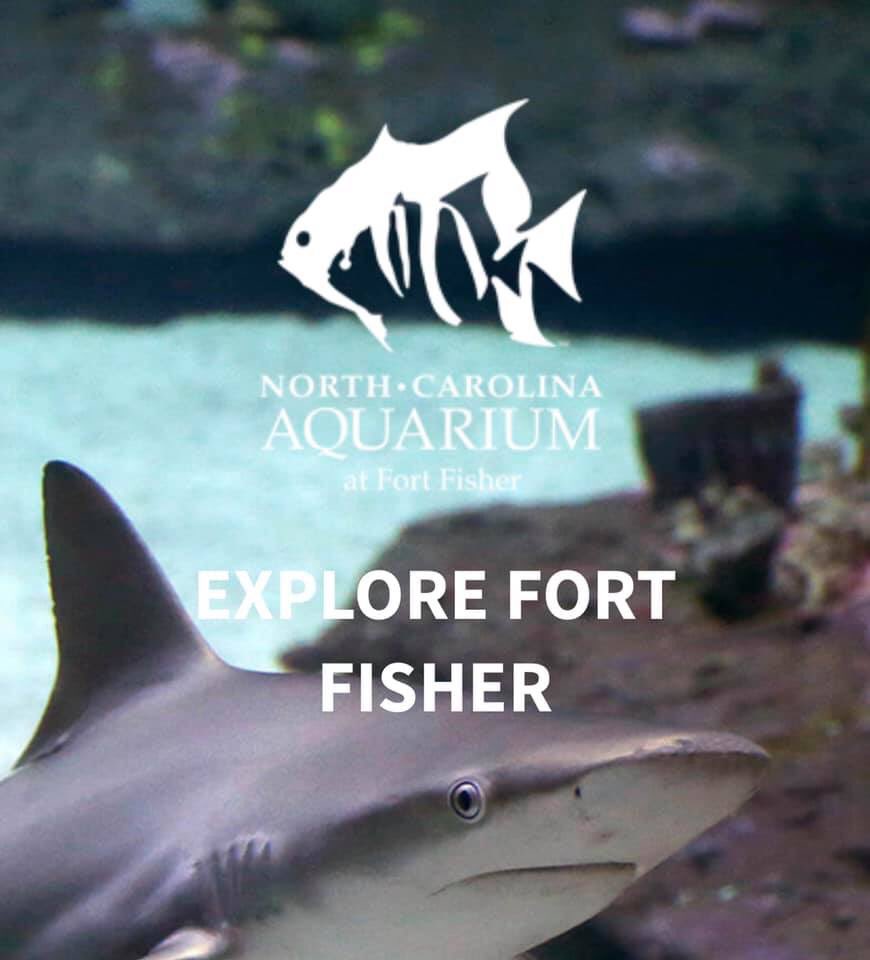 It’s finally here! We are excited to see everyone tonight at the NC Aquarium at Fort Fisher! Gates to the Aquarium parking lot will open for all at 6:30pm!

#CBJGTD #CBGTD #JeepEvent #CarolinaBeach #Mopar #Jeep #JeepLife #JeepGoTopless #JeepNation #JeepFamily #TreadLightly